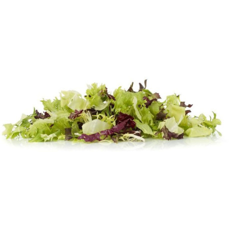SALADE FRUDIMIX COUPEE FIN ALLGRO 500G